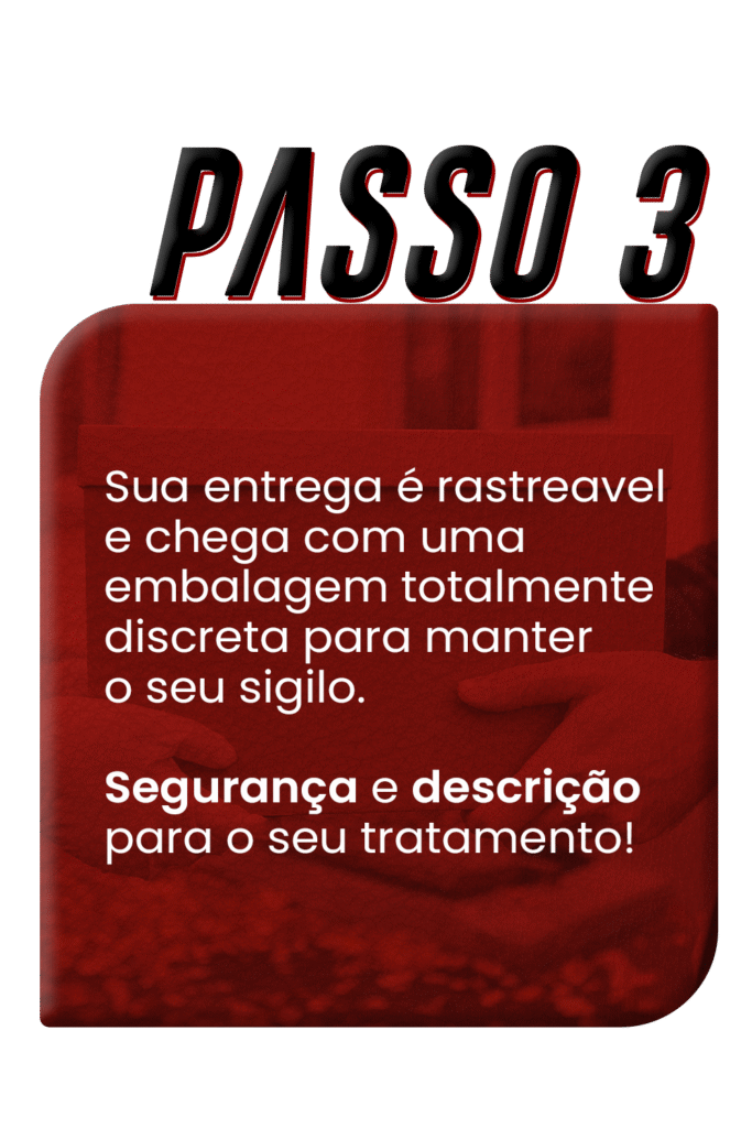 passo3